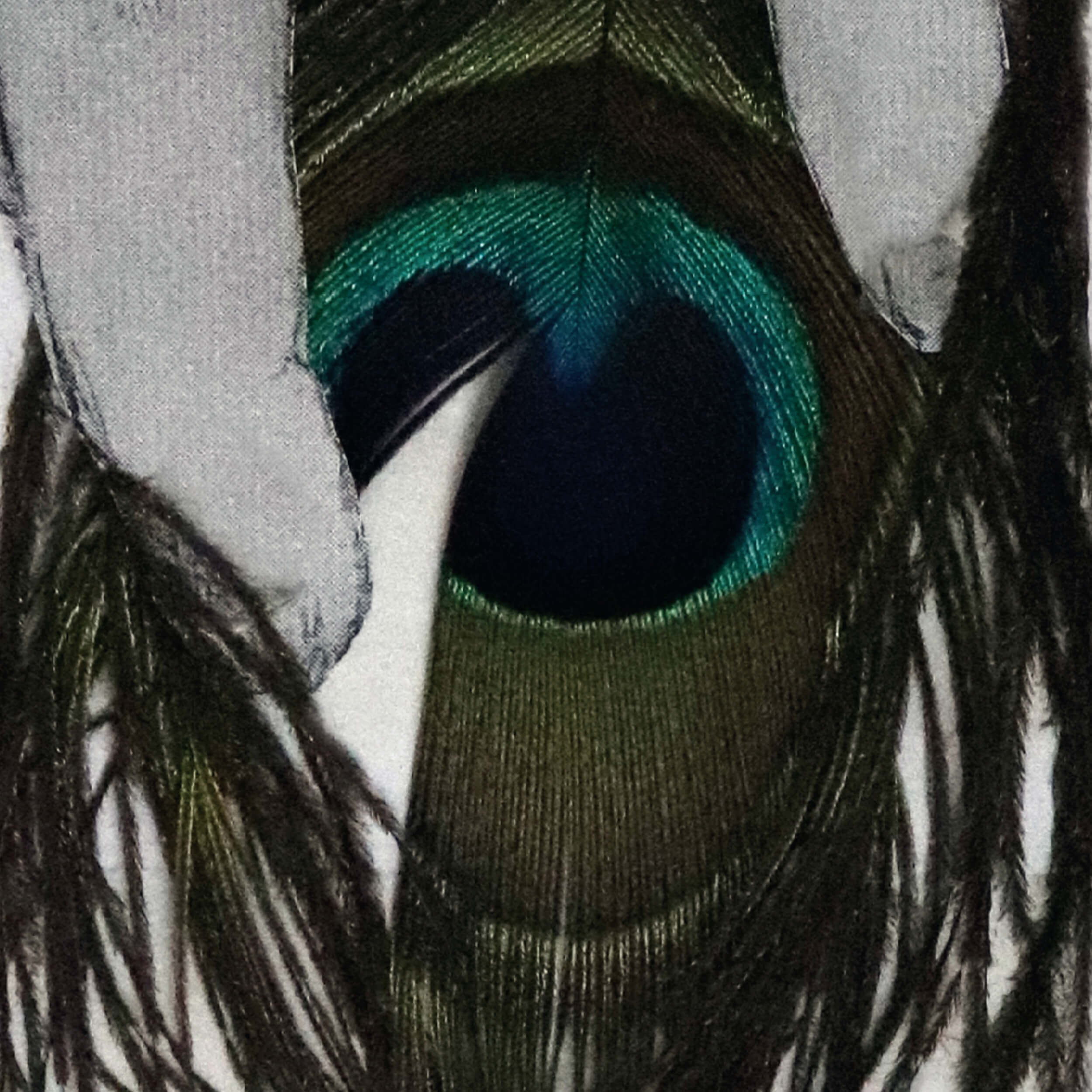 Boundary